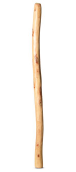 Natural Finish Didgeridoo (TW717)